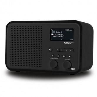 Přenosné digitání rádio Ferguson Regent i100